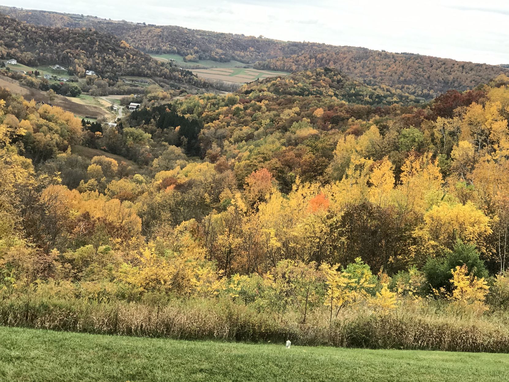 View from Irish Hill